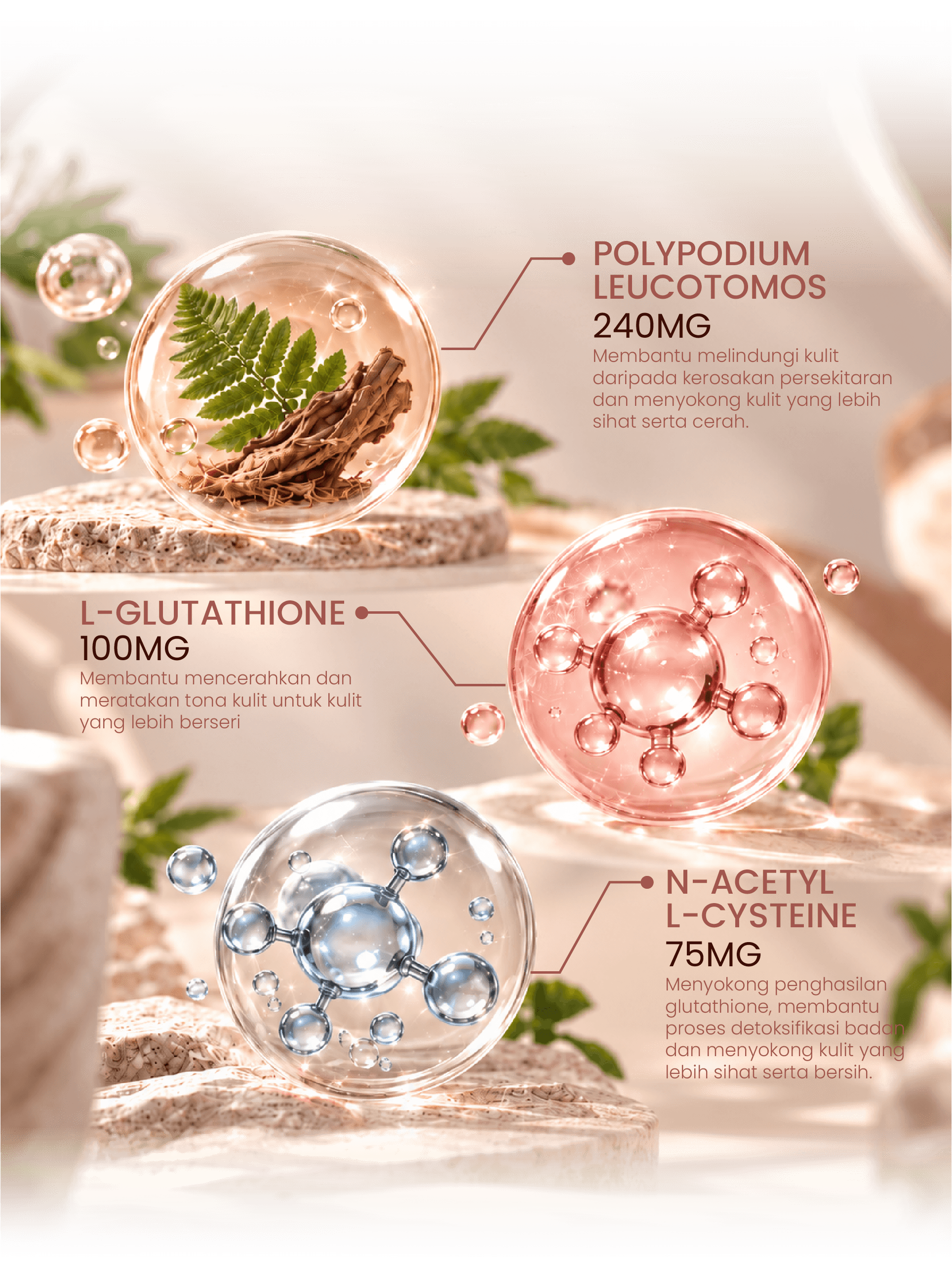 Polypodium Leucotomos 240 mg, L-Glutathione 100 mg dan N-Acetyl L-Cysteine 75 mg.